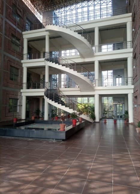 Pakistan Institute of Trade & Development (PITAD)